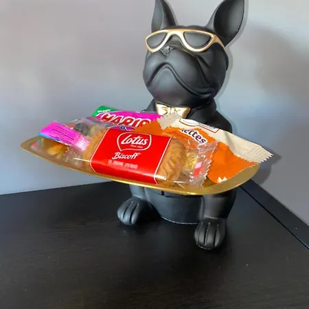 아파트 Secret Night 툴루즈